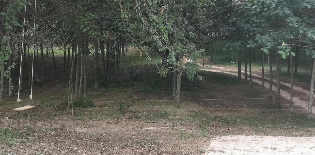 Quinta Do Soldado Villa Albergaria-a-Velha Ngoại thất bức ảnh