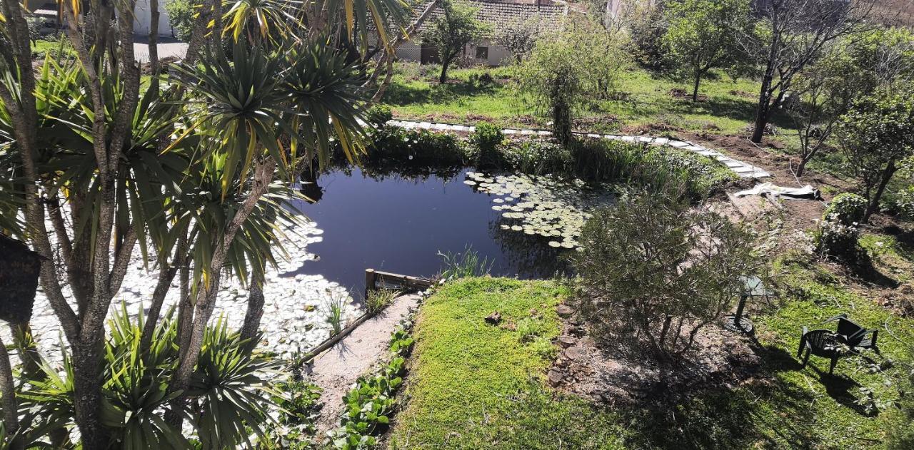 Quinta Do Soldado Villa Albergaria-a-Velha Ngoại thất bức ảnh