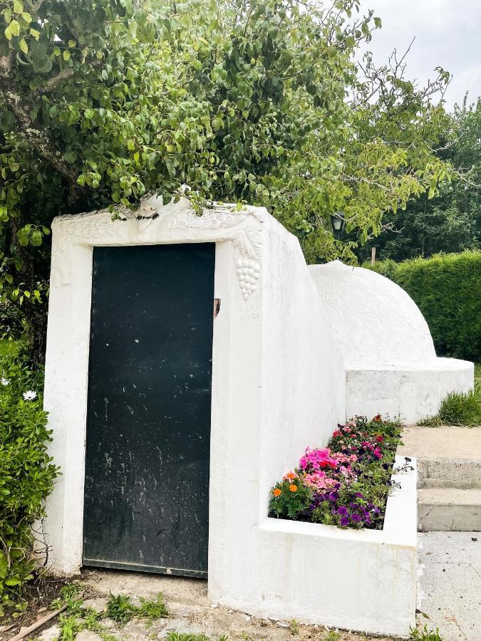 Quinta Do Soldado Villa Albergaria-a-Velha Ngoại thất bức ảnh