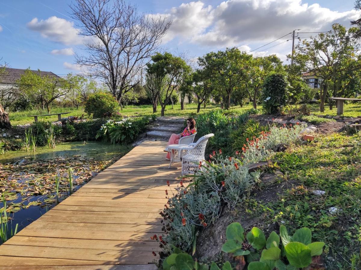 Quinta Do Soldado Villa Albergaria-a-Velha Ngoại thất bức ảnh